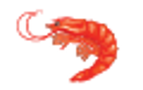 Picture of Prawn
